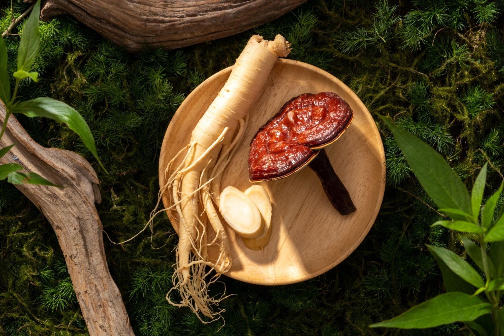 Benefits of Reishi and Ginseng in Coffee: What the Science Says