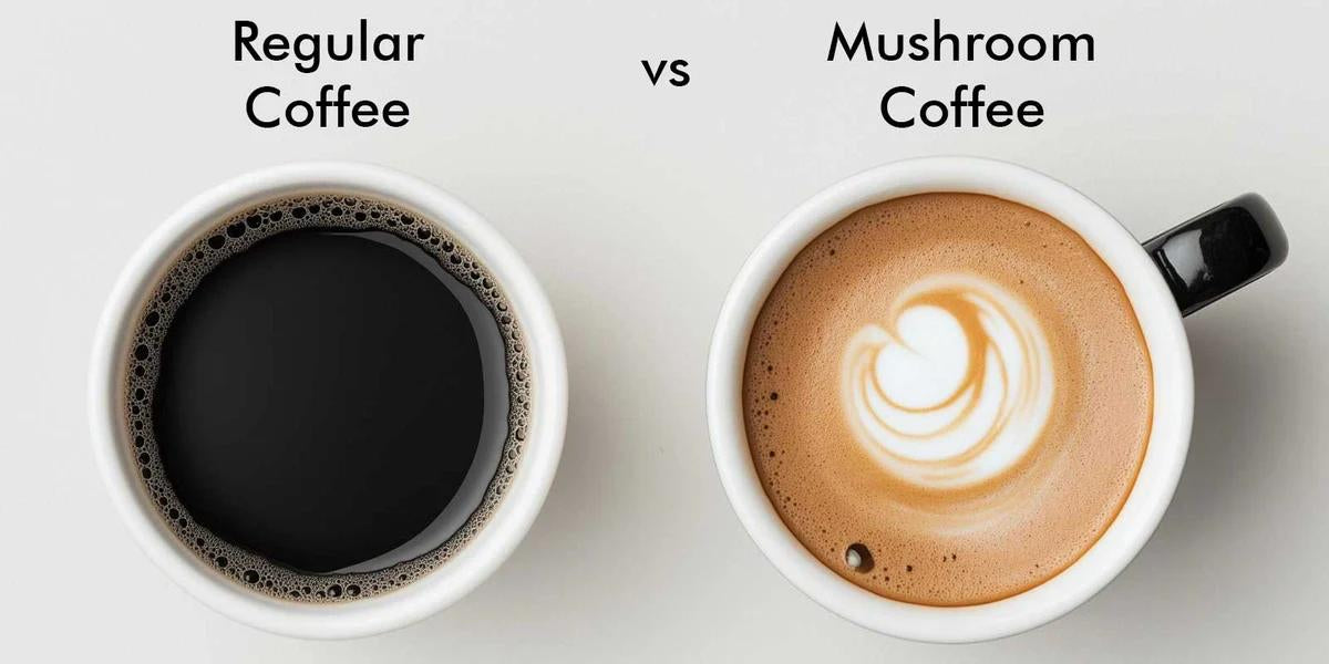 Mushroom Coffee vs Regular Coffee: What’s the Difference?