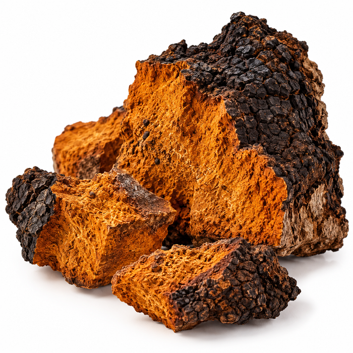 CHAGA