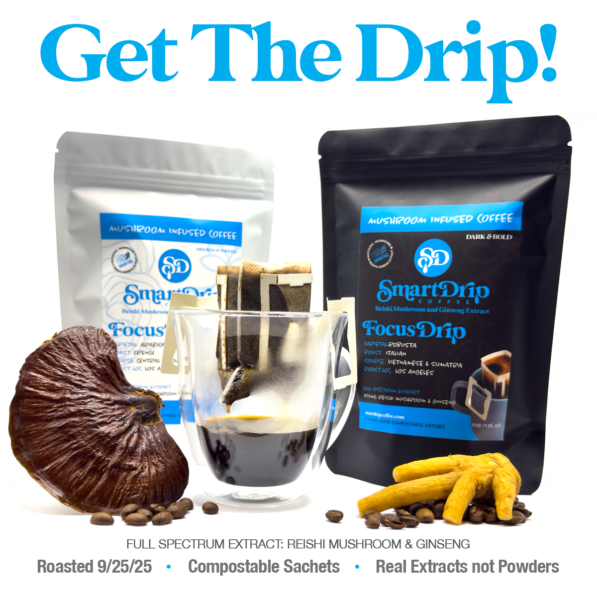 Focus Drip Italian Roast Mushroom Coffee (5ct.)